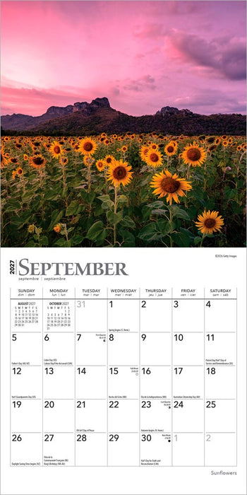 Sunflowers 2027 Mini Wall Calendar