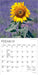 Sunflowers 2027 Mini Wall Calendar