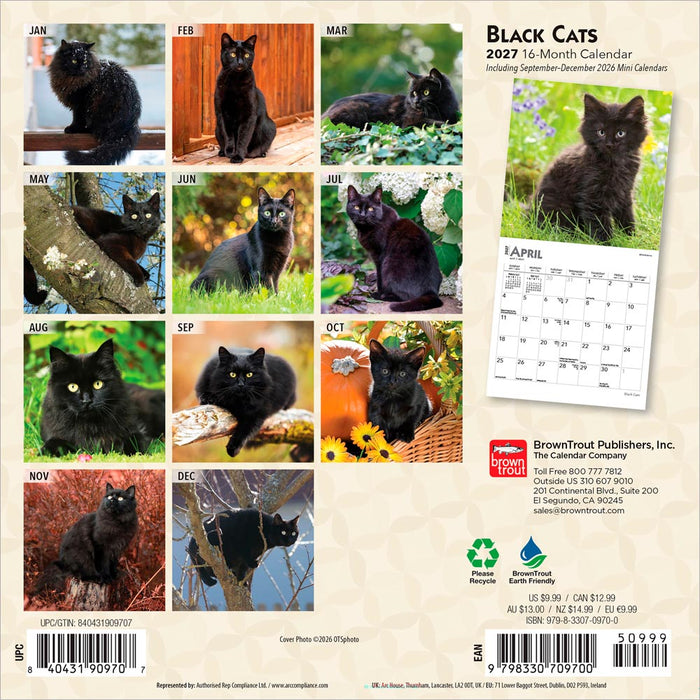 Black Cats 2027 Mini Wall Calendar