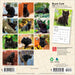 Black Cats 2027 Mini Wall Calendar