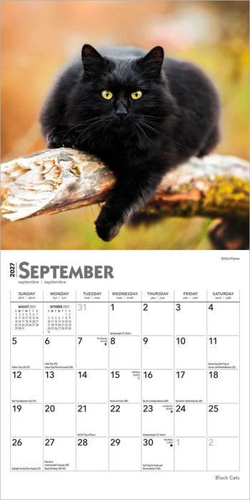 Black Cats 2027 Mini Wall Calendar