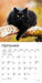 Black Cats 2027 Mini Wall Calendar
