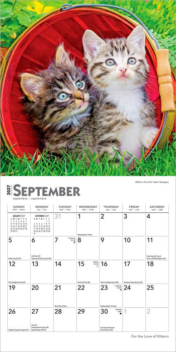 For the Love of Kittens 2027 Mini Wall Calendar