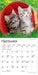For the Love of Kittens 2027 Mini Wall Calendar