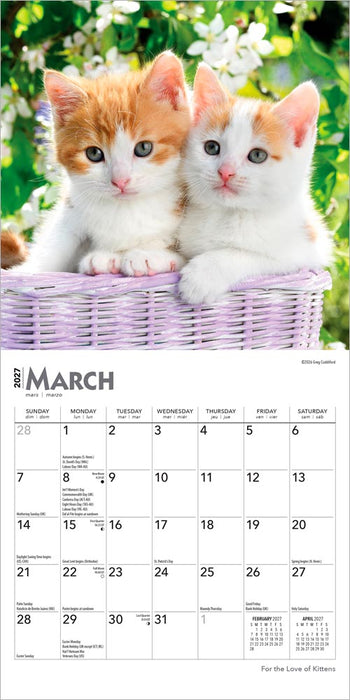 For the Love of Kittens 2027 Mini Wall Calendar