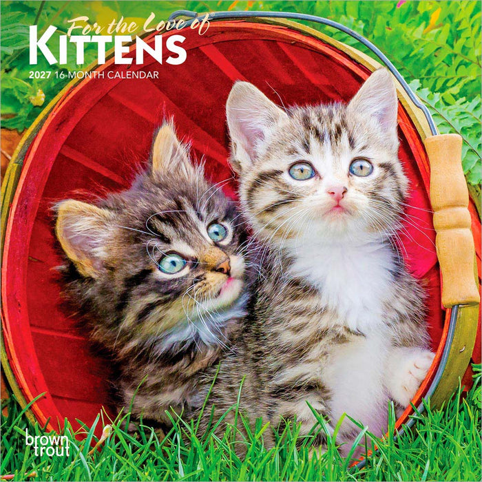 For the Love of Kittens 2027 Mini Wall Calendar