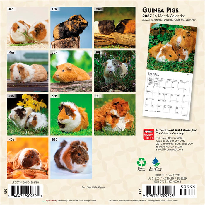 Guinea Pigs 2027 Mini Wall Calendar