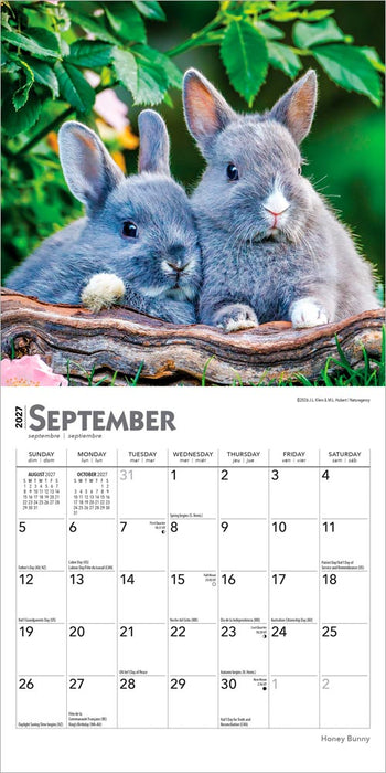 Honey Bunny 2027 Mini Wall Calendar