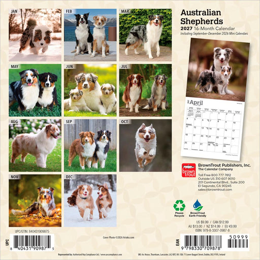 Australian Shepherds 2027 Mini Wall Calendar