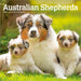Australian Shepherds 2027 Mini Wall Calendar