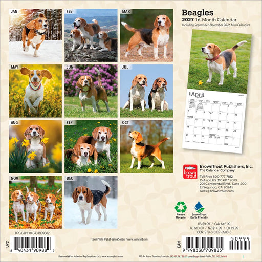 Beagles 2027 Mini Wall Calendar