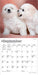 Bichon Frise Puppies 2027 Mini Wall Calendar