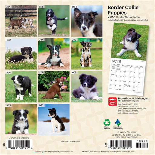Border Collie Puppies 2027 Mini Wall Calendar