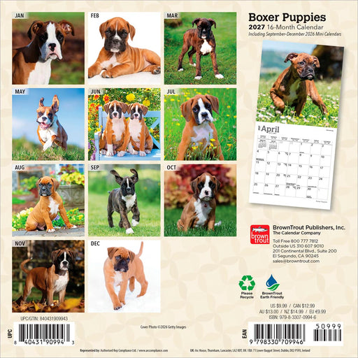 Boxer Puppies 2027 Mini Wall Calendar