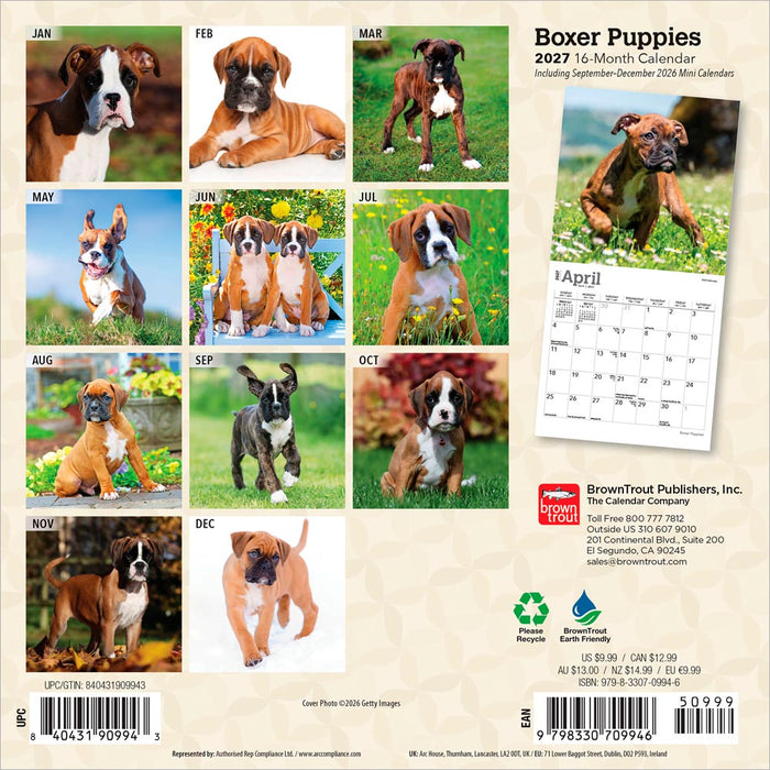 Boxer Puppies 2027 Mini Wall Calendar