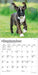 Boxer Puppies 2027 Mini Wall Calendar