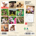 Chihuahua Puppies 2027 Mini Wall Calendar