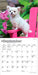 Chihuahua Puppies 2027 Mini Wall Calendar