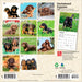 Dachshund Puppies 2027 Mini Wall Calendar