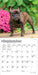 French Bulldogs 2027 Mini Wall Calendar