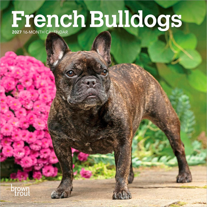French Bulldogs 2027 Mini Wall Calendar