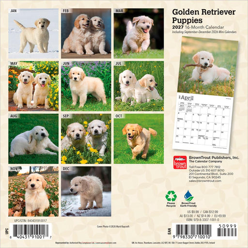 Golden Retriever Puppies 2027 Mini Wall Calendar