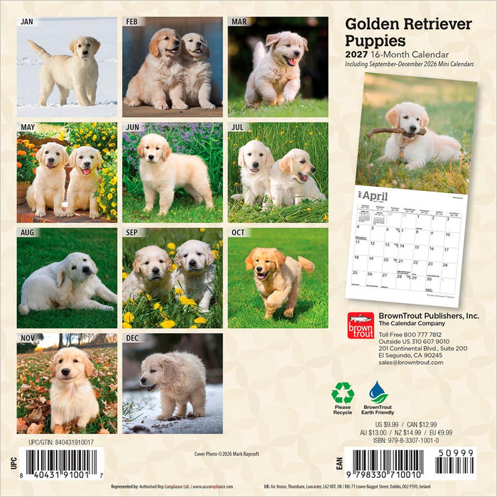 Golden Retriever Puppies 2027 Mini Wall Calendar