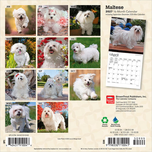 Maltese 2027 Mini Wall Calendar
