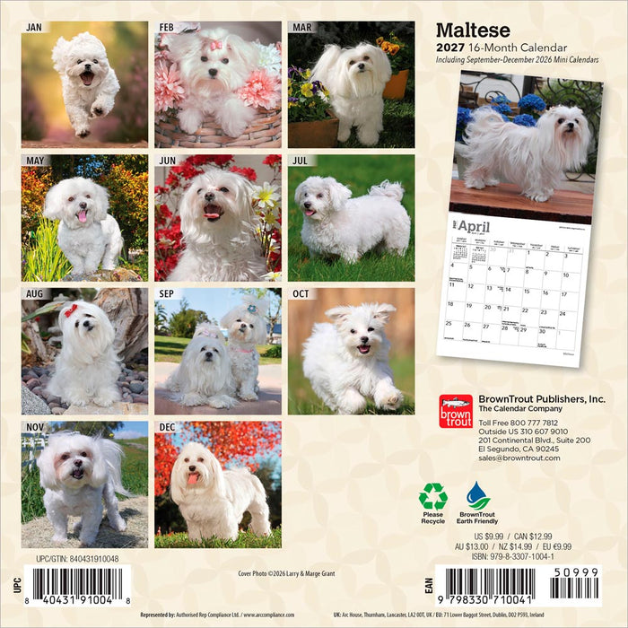 Maltese 2027 Mini Wall Calendar