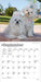 Maltese 2027 Mini Wall Calendar