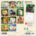 Pomeranians 2027 Mini Wall Calendar