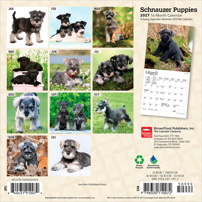 Schnauzer Puppies 2027 Mini Wall Calendar