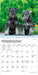 Schnauzer Puppies 2027 Mini Wall Calendar