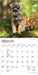 Schnauzer Puppies 2027 Mini Wall Calendar