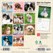 Shih Tzu Puppies 2027 Mini Wall Calendar