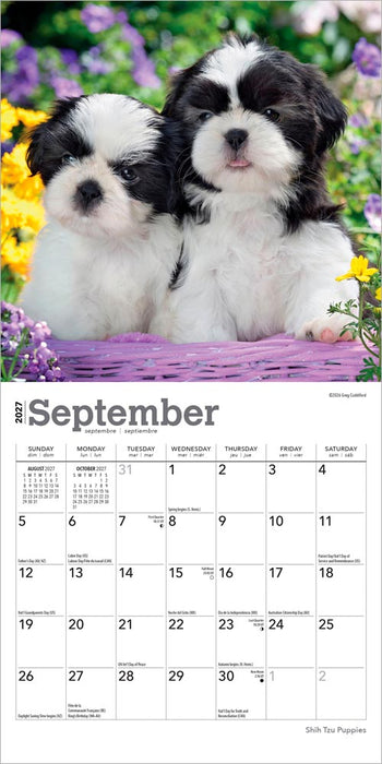 Shih Tzu Puppies 2027 Mini Wall Calendar