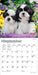 Shih Tzu Puppies 2027 Mini Wall Calendar