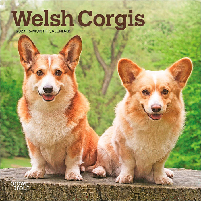 Welsh Corgis 2027 Mini Wall Calendar