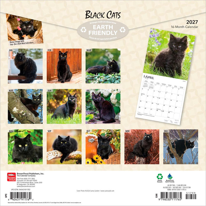 Black Cats 2027 Square Wall Calendar