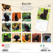 Black Cats 2027 Square Wall Calendar