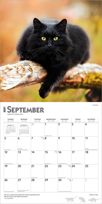 Black Cats 2027 Square Wall Calendar