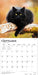 Black Cats 2027 Square Wall Calendar