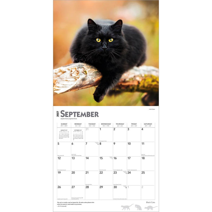 Black Cats 2027 Square Wall Calendar