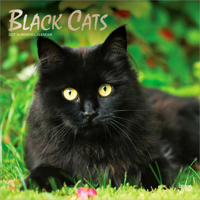 Black Cats 2027 Square Wall Calendar