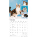 Cat Lovers 2027 Square Wall Calendar