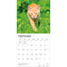 Ginger Cats 2027 Square Wall Calendar