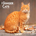 Ginger Cats 2027 Square Wall Calendar