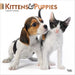 Kittens and Puppies 2027 Square Wall Calendar