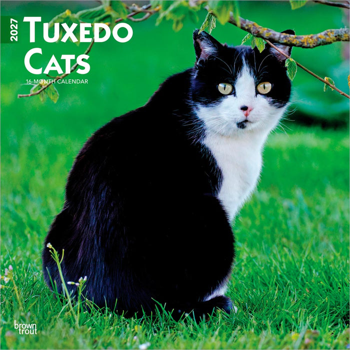 Tuxedo Cats 2027 Square Wall Calendar