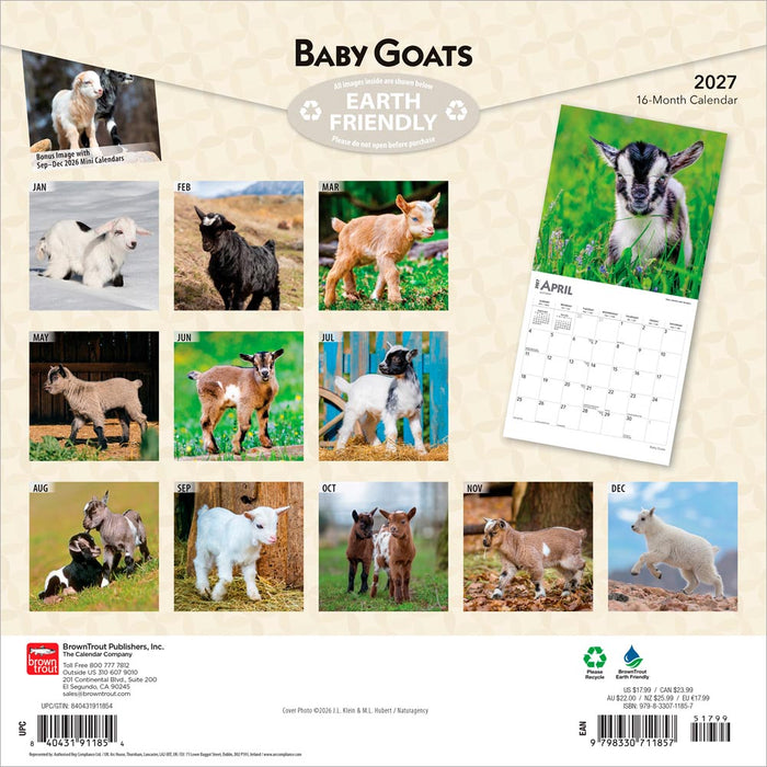 Baby Goats 2027 Square Wall Calendar